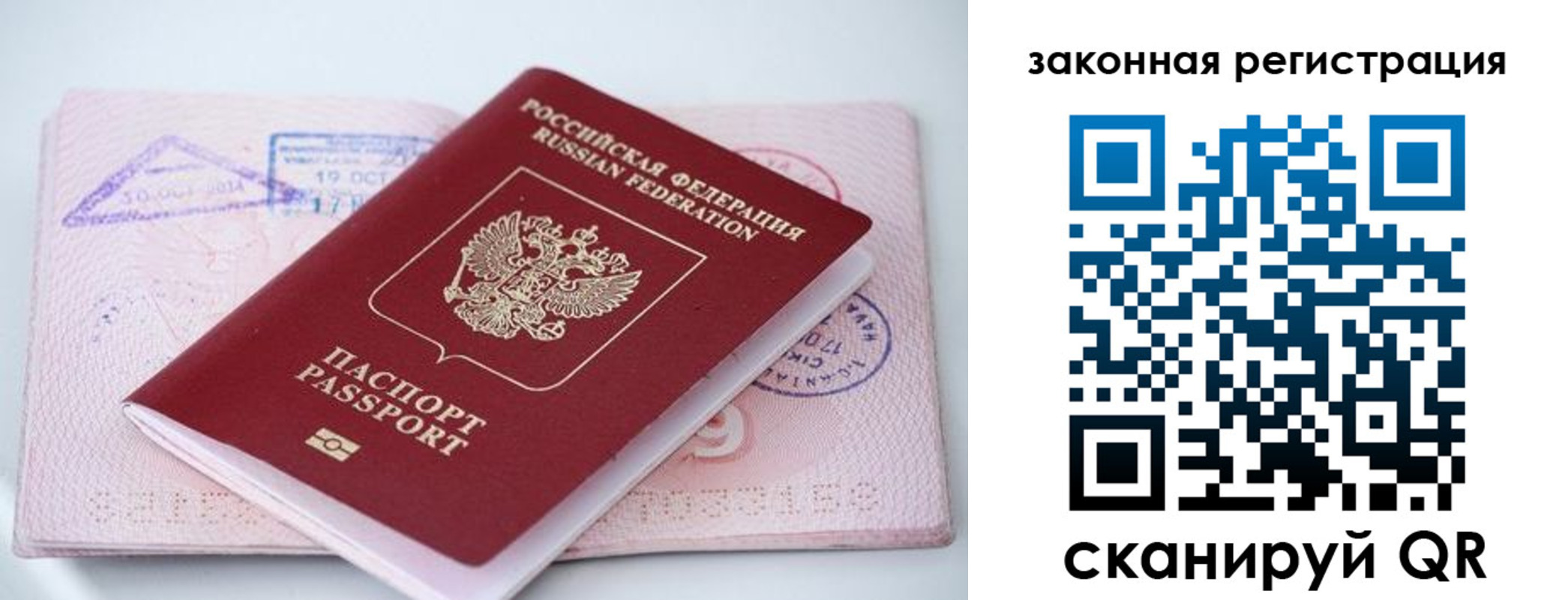 прописка в квартире в Палласовке